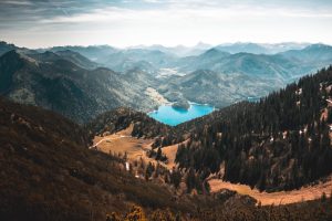 chris-holgersson-249309